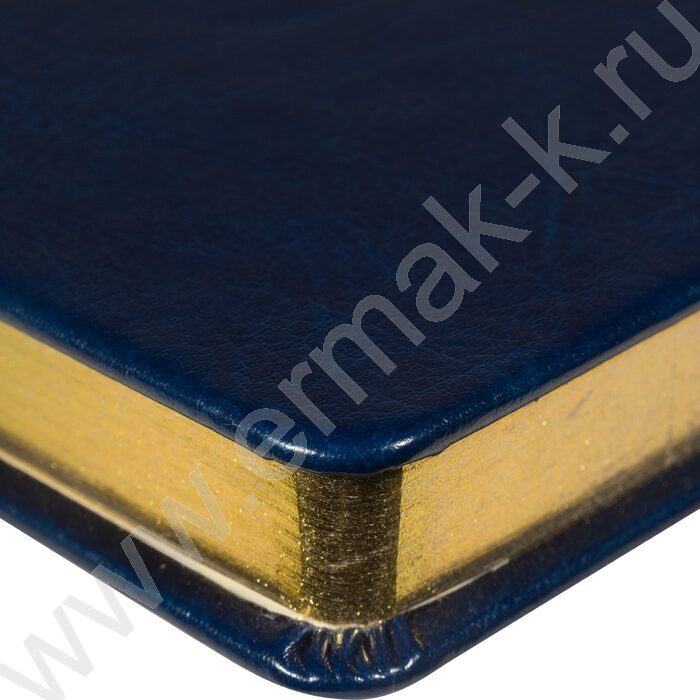 Ежедневник н/дат А5 136л Megapolis Nebraska синий,обрез блока:золотой,ляссе,линейка | Фото 6