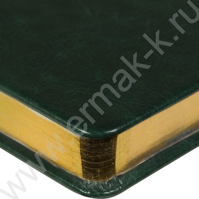 Ежедневник н/дат А5 136л Megapolis Nebraska зеленый,обрез блока:золотой,ляссе,линейка | Фото 6