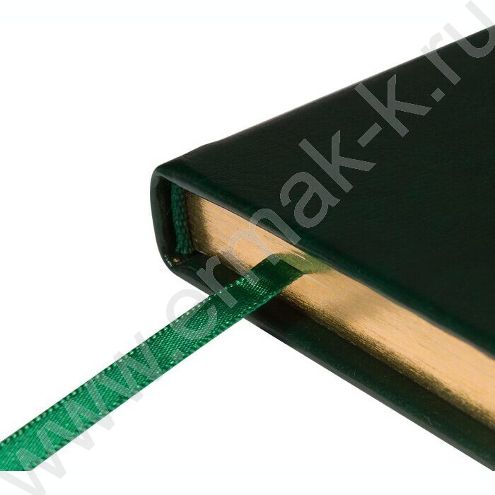 Ежедневник н/дат А5 136л Megapolis Nebraska зеленый,обрез блока:золотой,ляссе,линейка | Фото 7