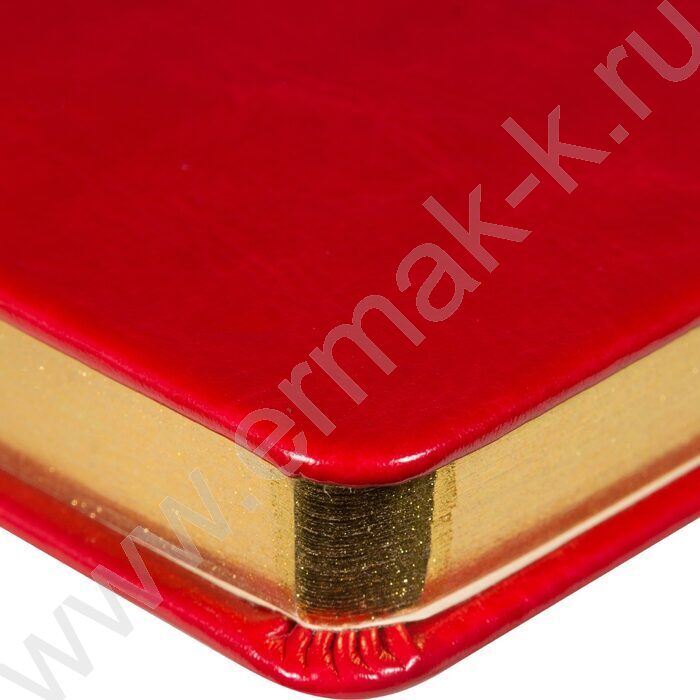 Ежедневник н/дат А5 136л Megapolis Nebraska красный,обрез блока:золотой,ляссе,линейка | Фото 7