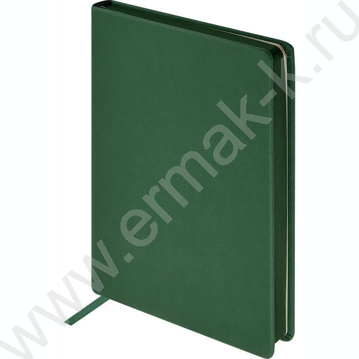 Ежедневник н/дат А5 136л Megapolis Color зеленый,искус.кожа SOFT TOUCH,ляссе,линейка | Фото 1