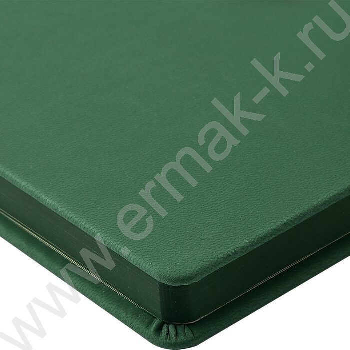 Ежедневник н/дат А5 136л Megapolis Color зеленый,искус.кожа SOFT TOUCH,ляссе,линейка | Фото 6