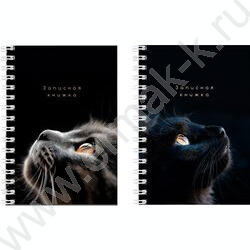 Зап. книжка  80л А6 спираль "Взгляды котиков" ассорти NEW | Фото 1