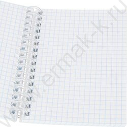 Зап. книжка  80л А6 спираль "Взгляды котиков" ассорти NEW | Фото 2