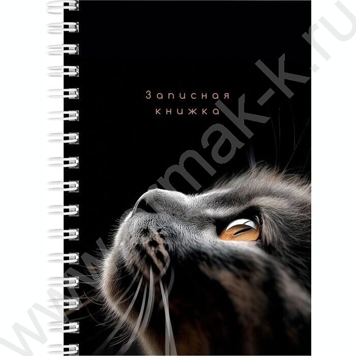 Зап. книжка  80л А6 спираль "Взгляды котиков" ассорти | Фото 3