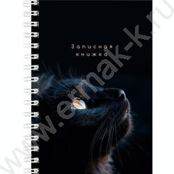 Зап. книжка  80л А6 спираль "Взгляды котиков" ассорти NEW | Фото 5