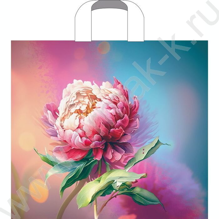 Пакет петлевой 38*34см Сандра | Фото 1