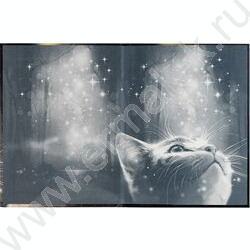 Зап. книжка  80л А6 тв.обл."Кот со звездами" /с алфавитной вырубкой/линия NEW | Фото 3