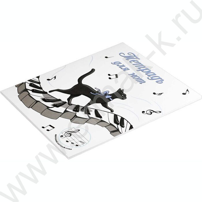 Тетрадь для нот 24л А5+ мл.классы "Музыкальная походка" расширенный нотный стан | Фото 2