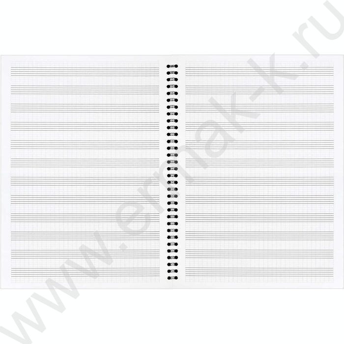 Тетрадь для нот 32л А4 /спираль/  "Космическая гитара" | Фото 4