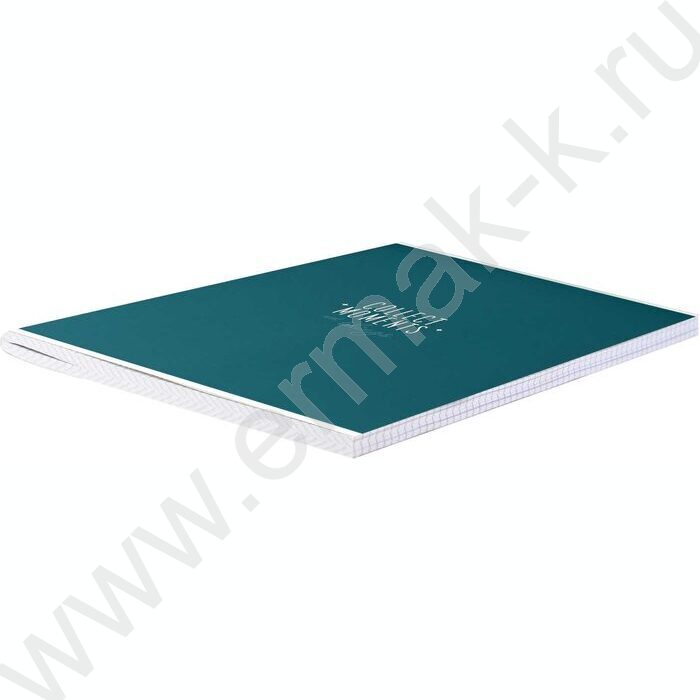 Тетрадь  96л А4 клетка "Собирай монеты" /выб. УФ-лак,ламинация "софт-тач" вельвет/ | Фото 2