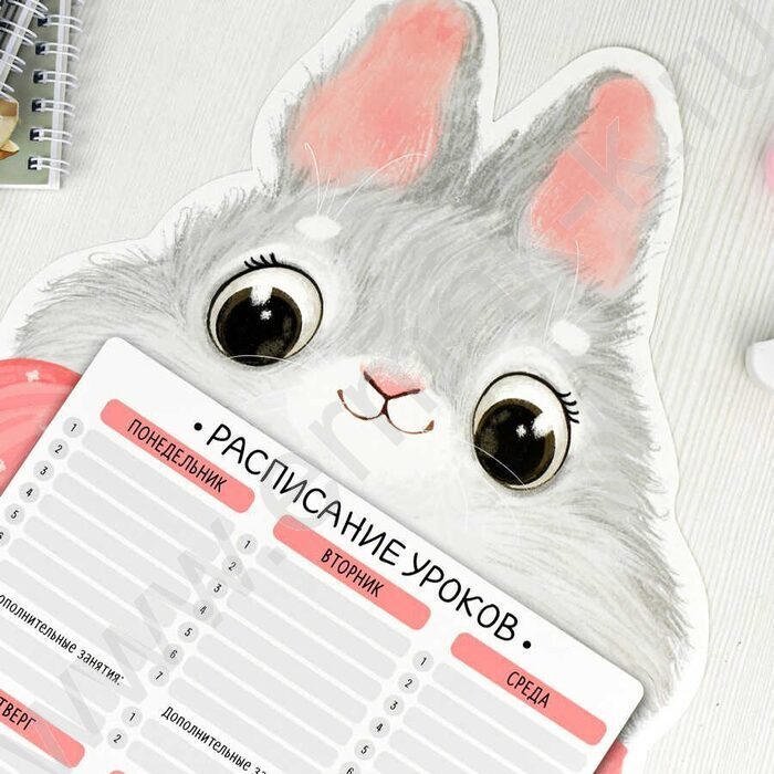 Расписание уроков А3 Кролик /выб.Уф-лак/ | Фото 6