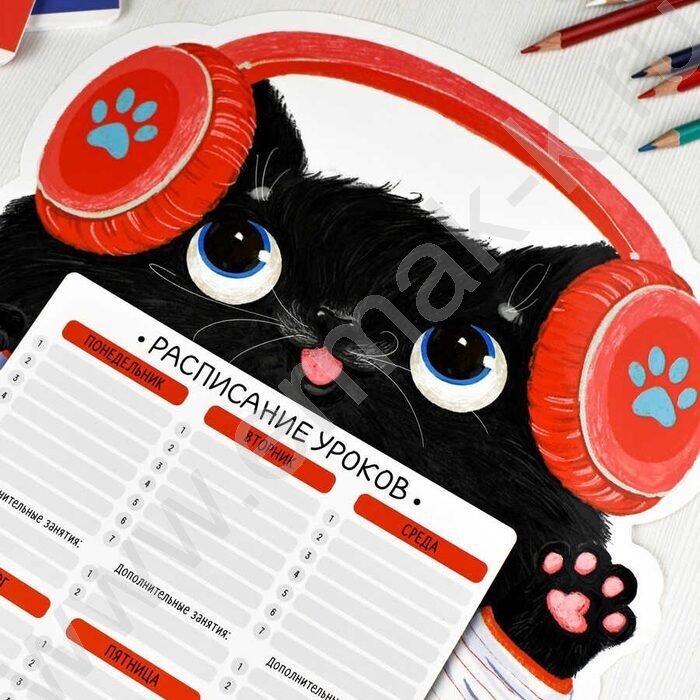 Расписание уроков А3 Кот /выб.Уф-лак/ | Фото 3