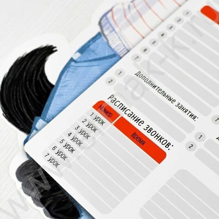 Расписание уроков А3 Кот /выб.Уф-лак/ | Фото 4