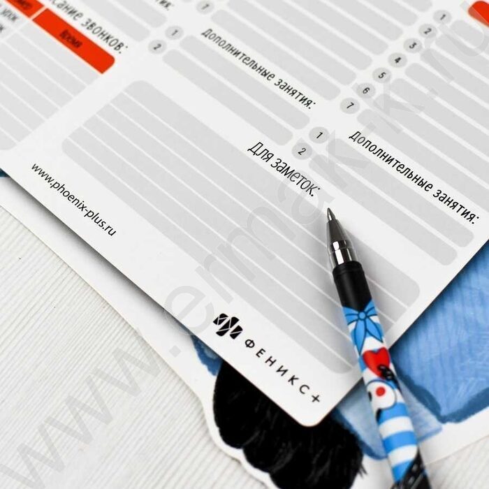 Расписание уроков А3 Кот /выб.Уф-лак/ | Фото 5