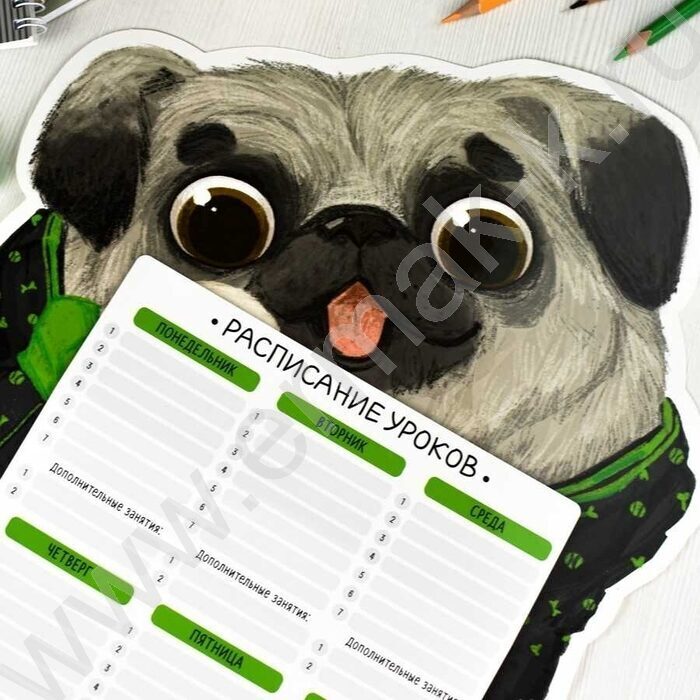 Расписание уроков А3 Бульдог /выб.Уф-лак/ | Фото 3