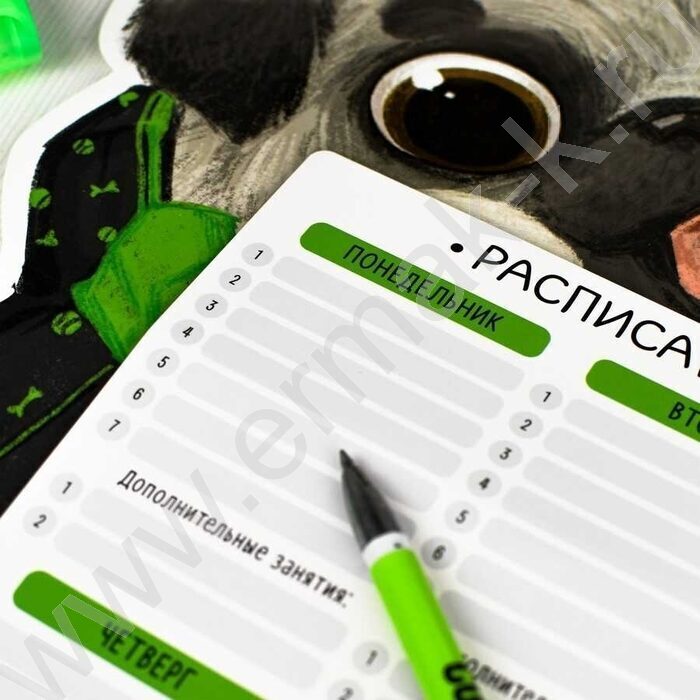 Расписание уроков А3 Бульдог /выб.Уф-лак/ | Фото 4