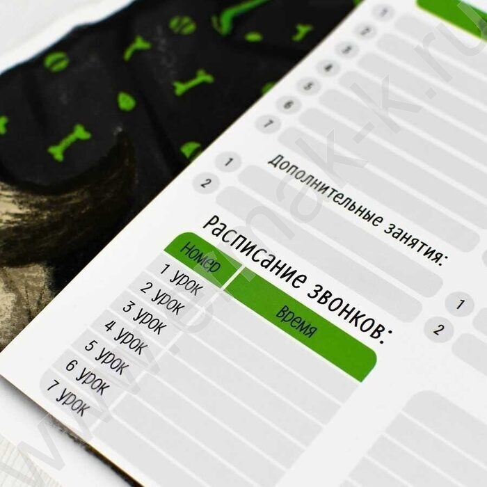 Расписание уроков А3 Бульдог /выб.Уф-лак/ | Фото 5