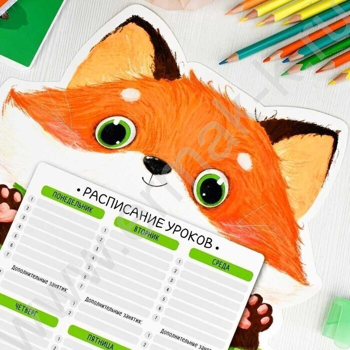 Расписание уроков А3 Лис /выб.Уф-лак/ | Фото 3
