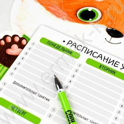 Расписание уроков А3 Лис /выб.Уф-лак/ | Фото 5