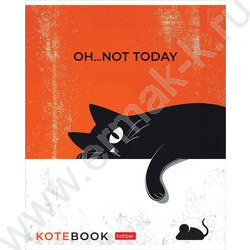 Тетрадь  48л линейка пл.обл. "Котэ" ассорти NEW | Фото 3