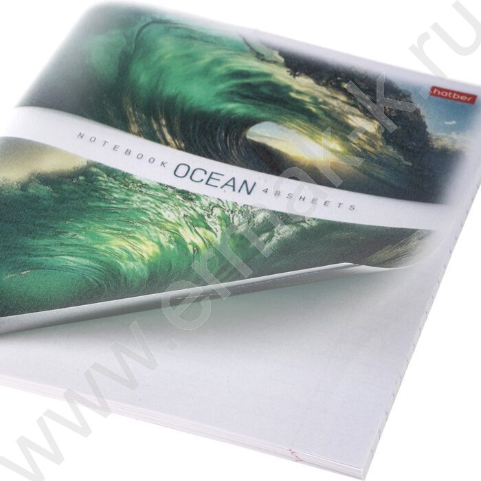 Тетрадь  48л линейка пл.обл. "Ocean" ассорти | Фото 8