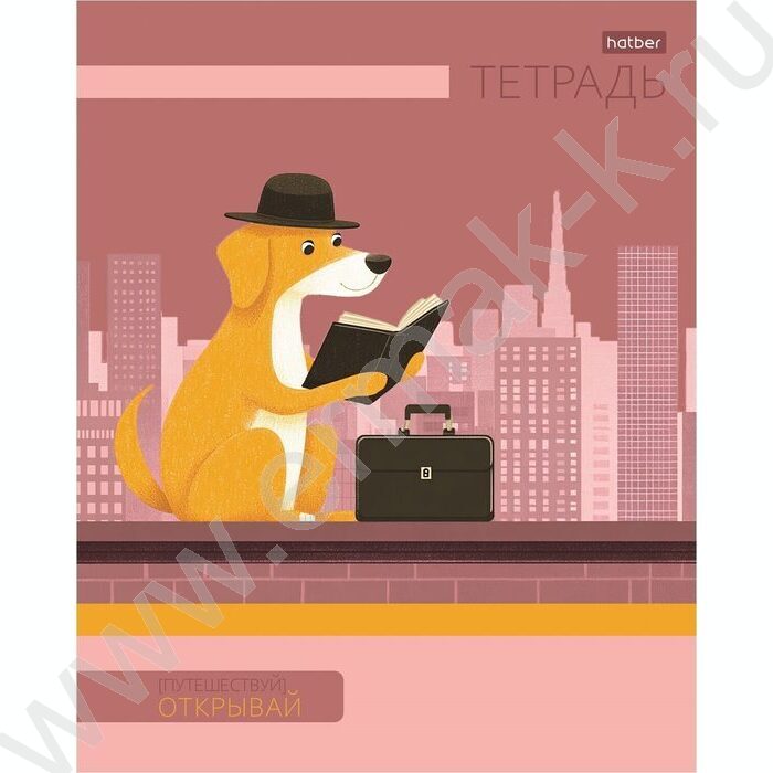 Тетрадь  48л клетка "Путешествуй!" /тиснение/ 5видов | Фото 6