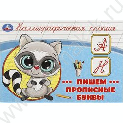 Пропись А5 Каллиграфическая.Пишем прописные буквы | Фото 1