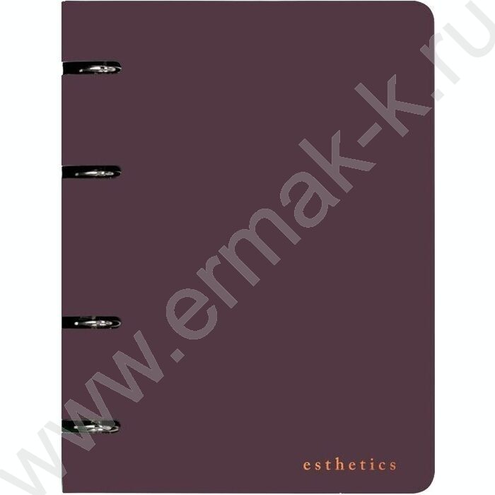 Тетрадь  80л А5 клетка/кольца /гибкая обл. искус. кожа/ "Esthetics" /бургунди NEW | Фото 1