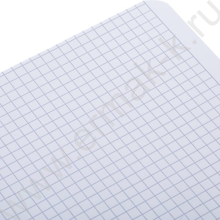 Тетрадь  96л А4 линейка/спираль/перфорация на отрыв "Пределы нормы" /мат.лам./ ассорти | Фото 5