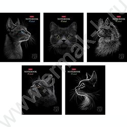 Тетрадь  48л клетка "Black Cat" /3D лак /мат.лам. /5видов | Фото 1