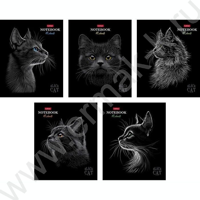 Тетрадь  48л клетка "Black Cat" /3D лак /мат.лам. /5видов | Фото 1
