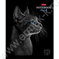 Тетрадь  48л клетка "Black Cat" /3D лак /мат.лам. /5видов | Фото 2