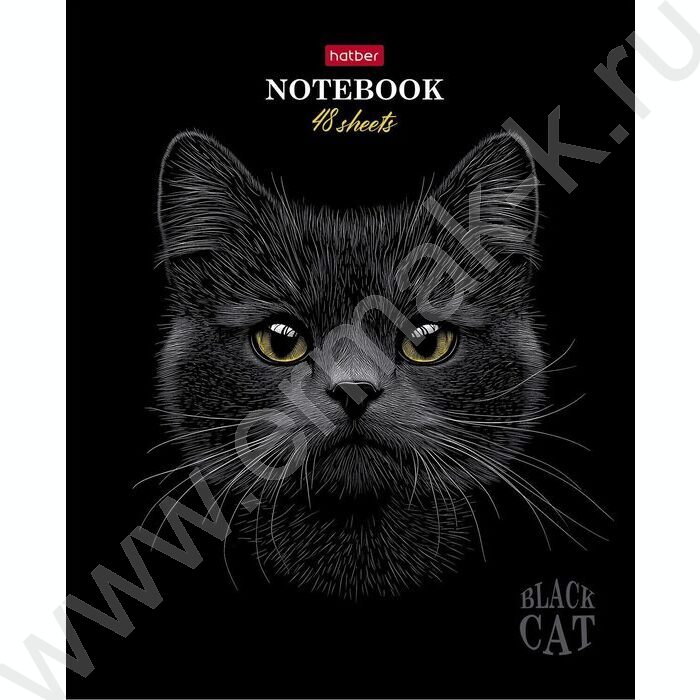 Тетрадь  48л клетка "Black Cat" /3D лак /мат.лам. /5видов | Фото 3