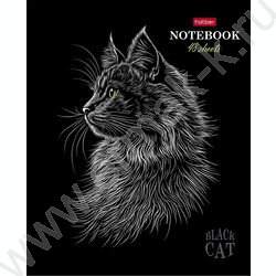 Тетрадь  48л клетка "Black Cat" /3D лак /мат.лам. /5видов | Фото 4