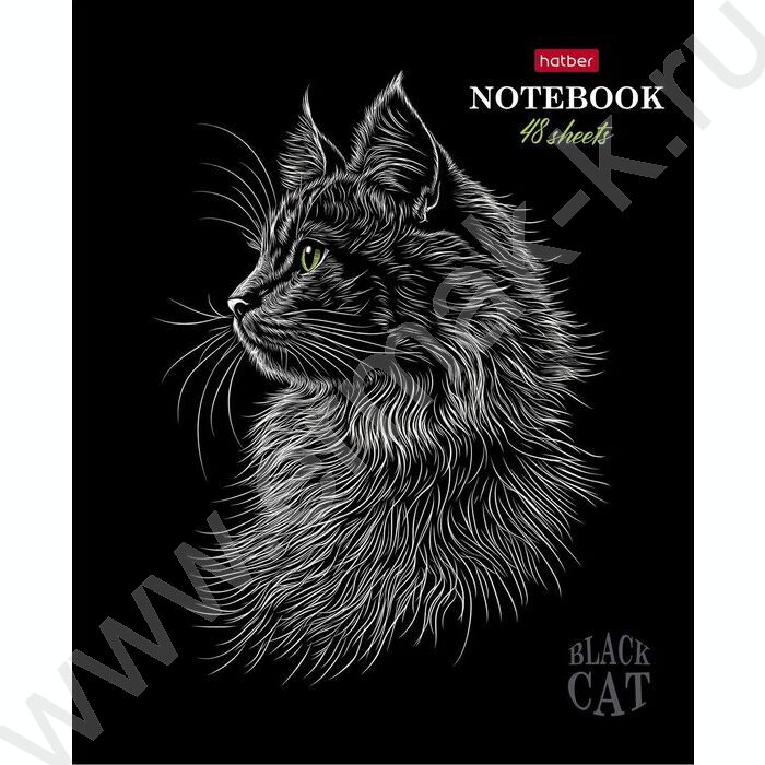 Тетрадь  48л клетка "Black Cat" /3D лак /мат.лам. /5видов | Фото 4