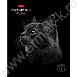 Тетрадь  48л клетка "Black Cat" /3D лак /мат.лам. /5видов | Фото 5