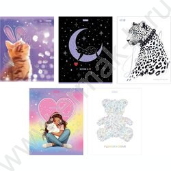 Тетрадь  48л клетка "Грезы и мечты" /3D фольга /мат.лам. /5видов | Фото 1