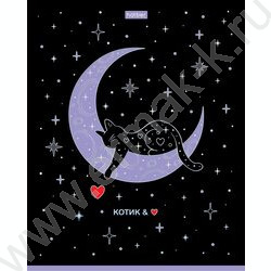 Тетрадь  48л клетка "Грезы и мечты" /3D фольга /мат.лам. /5видов | Фото 3