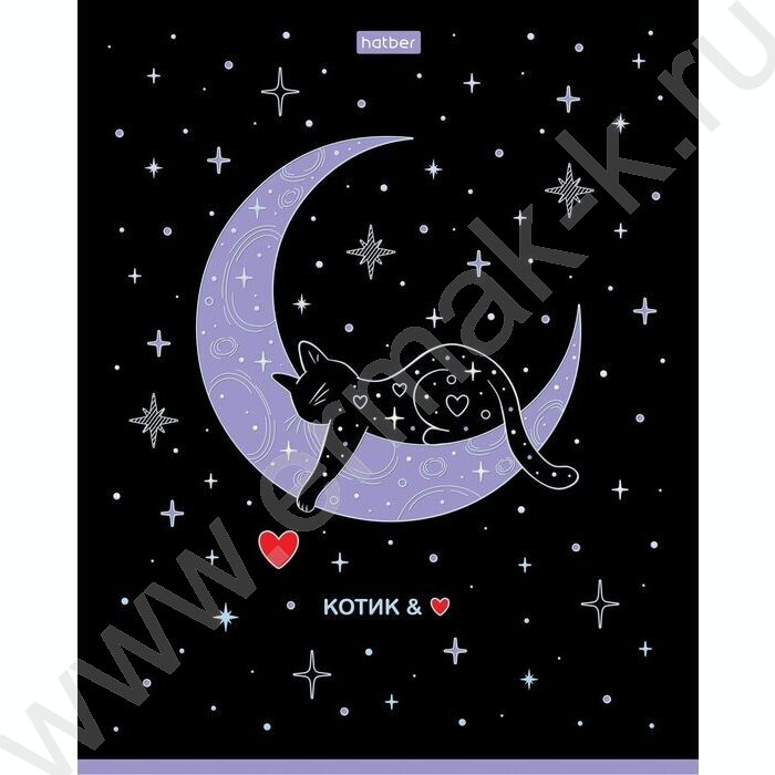 Тетрадь  48л клетка "Грезы и мечты" /3D фольга /мат.лам. /5видов | Фото 3