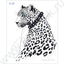 Тетрадь  48л клетка "Грезы и мечты" /3D фольга /мат.лам. /5видов | Фото 4