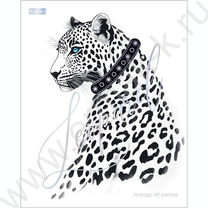 Тетрадь  48л клетка "Грезы и мечты" /3D фольга /мат.лам. /5видов | Фото 4