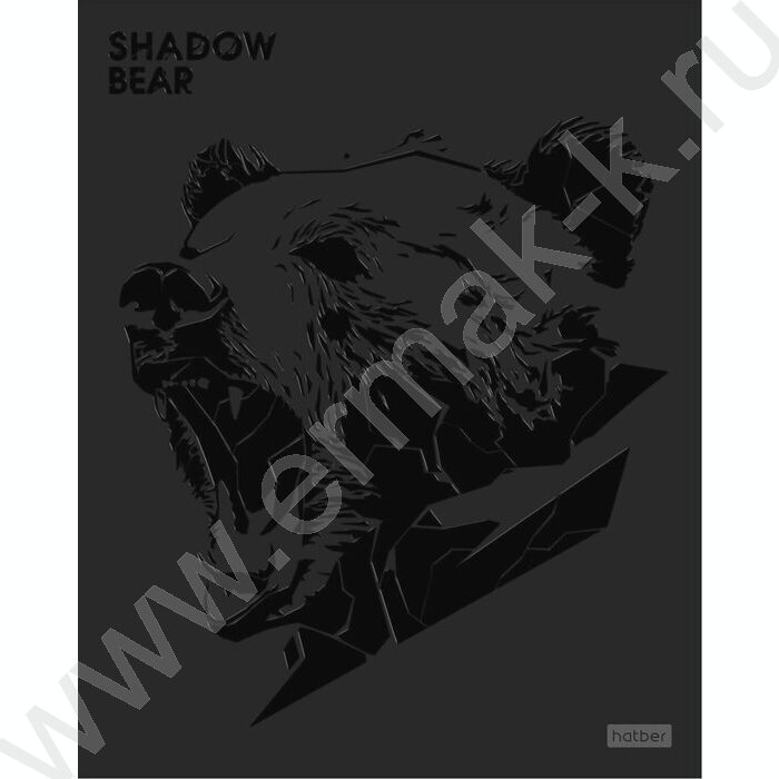 Тетрадь  48л клетка "Shadow" /3D лак /мат.лам. /5видов | Фото 2