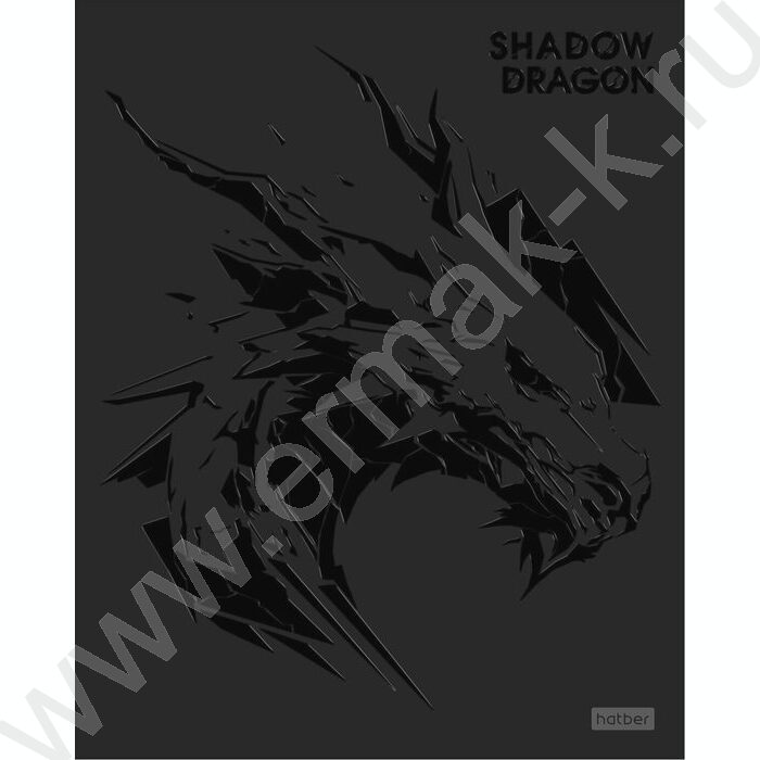 Тетрадь  48л клетка "Shadow" /3D лак /мат.лам. /5видов | Фото 3