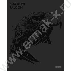 Тетрадь  48л клетка "Shadow" /3D лак /мат.лам. /5видов | Фото 4