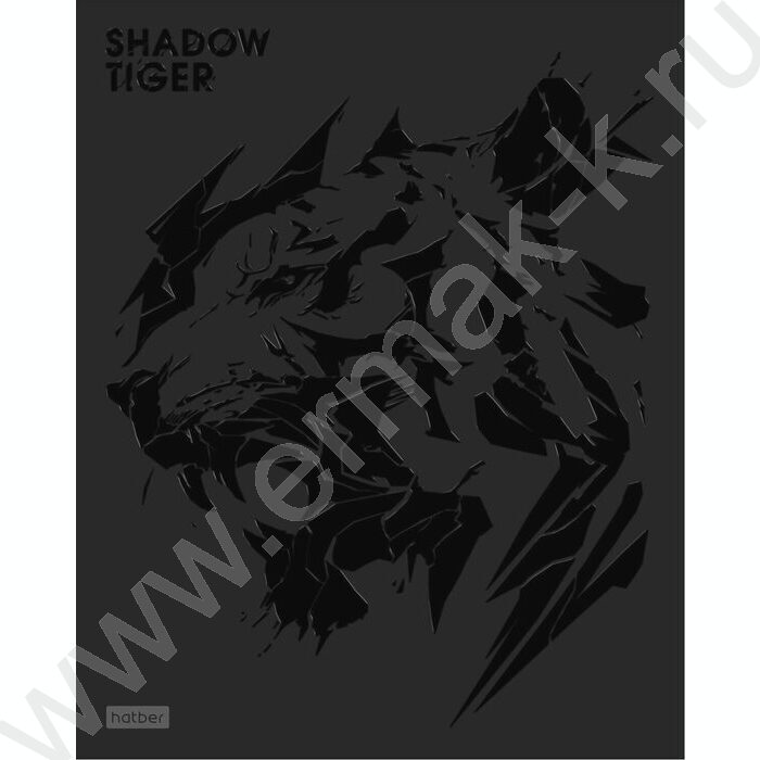 Тетрадь  48л клетка "Shadow" /3D лак /мат.лам. /5видов | Фото 5
