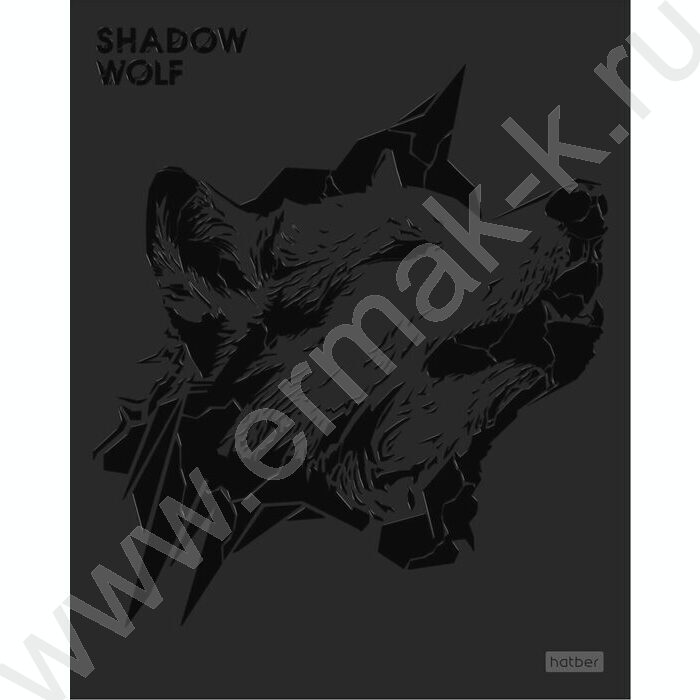 Тетрадь  48л клетка "Shadow" /3D лак /мат.лам. /5видов | Фото 6