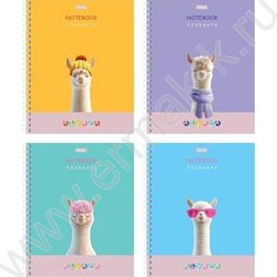Тетрадь  48л клетка/спираль "ALPACA" /ламинац.SOFT-TOUCH / 4вида | Фото 1