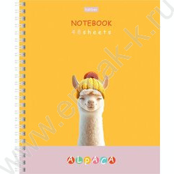 Тетрадь  48л клетка/спираль "ALPACA" /ламинац.SOFT-TOUCH / 4вида | Фото 2