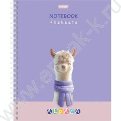 Тетрадь  48л клетка/спираль "ALPACA" /ламинац.SOFT-TOUCH / 4вида | Фото 3